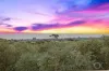 3819 Main South Road, Sellicks Hill, SA 5174-Image
