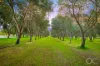3819 Main South Road, Sellicks Hill, SA 5174-Image