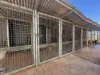 382 Blunder Park Road, Innot Hot Springs QLD 4872-Image