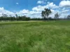 382 Blunder Park Road, Innot Hot Springs QLD 4872-Image