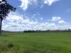 382 Blunder Park Road, Innot Hot Springs QLD 4872-Image