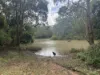 382 Blunder Park Road, Innot Hot Springs QLD 4872-Image