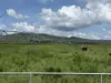 382 Blunder Park Road, Innot Hot Springs QLD 4872-Image