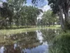 382 Blunder Park Road, Innot Hot Springs QLD 4872-Image