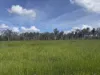 382 Blunder Park Road, Innot Hot Springs QLD 4872-Image