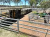 382 Blunder Park Road, Innot Hot Springs QLD 4872-Image