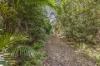 385 Bellthorpe West Road, Bellthorpe, Qld 4514-Image