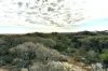 39, Cheetima Road, Fowlers Bay, SA 5690-Image