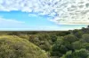 39, Cheetima Road, Fowlers Bay, SA 5690-Image