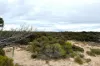 39, Cheetima Road, Fowlers Bay, SA 5690-Image