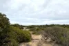 39, Cheetima Road, Fowlers Bay, SA 5690-Image