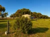 39 Fane Road, Bonniefield WA 6525-Image