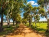 39 Fane Road, Bonniefield WA 6525-Image