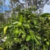 39 Hughes Road, Kilcoy QLD 4515-Image