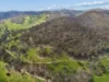 390 Stoney Creek Road, Fawcett, Vic 3714-Image