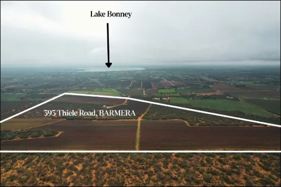393 Thiele Road, Loveday, SA 5345