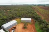 393 Thiele Road, Loveday, SA 5345-Image