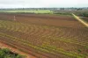 393 Thiele Road, Loveday, SA 5345-Image