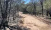3987 Chinchilla Tara Road, Tara, Qld 4421-Image