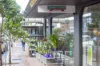 4/5 Onslow Street, Rose Bay, NSW 2029-Image