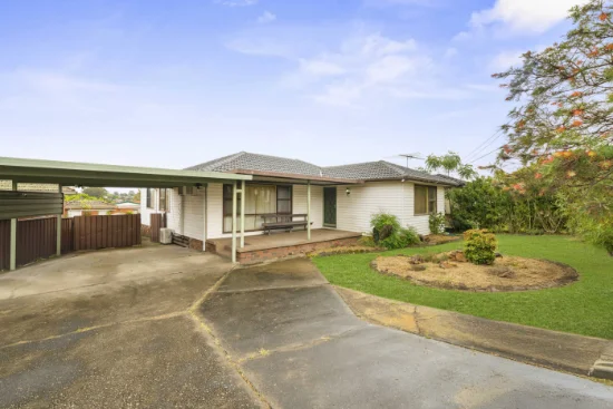 4 Belvedere Street, Mount Pritchard, NSW 2170