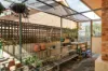 4 Kunoth Street, Berri SA 5343-Image