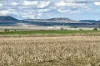 4, Steele Rudd Road, Budgee, Qld 4359-Image