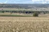 4, Steele Rudd Road, Budgee, Qld 4359-Image