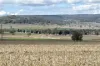 4, Steele Rudd Road, Budgee, Qld 4359-Image