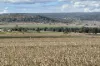 4, Steele Rudd Road, Budgee, Qld 4359-Image