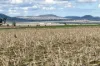 4, Steele Rudd Road, Budgee, Qld 4359-Image