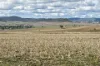 4, Steele Rudd Road, Budgee, Qld 4359-Image