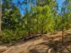 40 Trousdell Road, Googa Creek, Qld 4314-Image