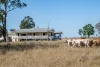 400 Rickertt Road, Johnstown QLD 4615-Image