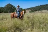 400 Rickertt Road, Johnstown QLD 4615-Image