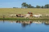 400 Rickertt Road, Johnstown QLD 4615-Image