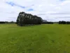 401 Purrumbete Estate Road, Koallah VIC 3260-Image