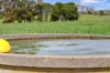 401 Purrumbete Estate Road, Koallah VIC 3260-Image