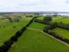 401 Purrumbete Estate Road, Koallah VIC 3260-Image