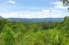 403 Red Hill Road, Cooperabung, NSW 2441-Image