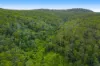 403 Red Hill Road, Cooperabung, NSW 2441-Image