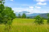 403 Red Hill Road, Cooperabung, NSW 2441-Image