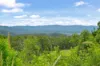 403 Red Hill Road, Cooperabung, NSW 2441-Image