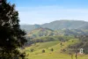 407 Goorangoola Road, Singleton, NSW 2330-Image