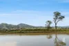 407 Goorangoola Road, Singleton, NSW 2330-Image