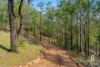 407 Goorangoola Road, Singleton, NSW 2330-Image