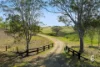 407 Goorangoola Road, Singleton, NSW 2330-Image