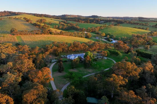 41 Pennys Hill Road, McLaren Vale, SA 5171