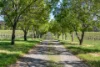 41 Pennys Hill Road, McLaren Vale, SA 5171-Image