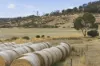 411 Bryants Lane, Deddington, Tas 7212-Image